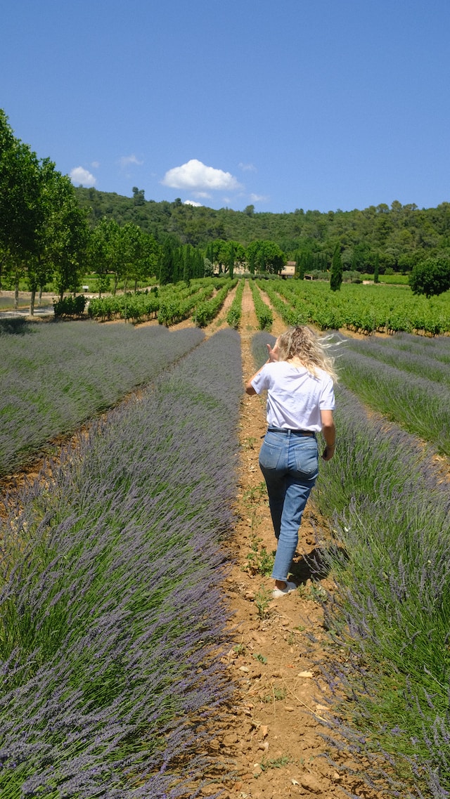 Chambre d’hôtes pour faire de la randonnée en Provence : Découvrez les sentiers pittoresques