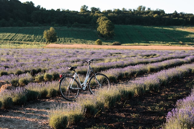 Chambre d’hôtes pour faire du vélo en Provence : Explorez la région à deux roues